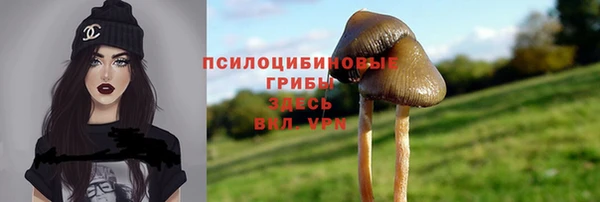 первитин Новокубанск