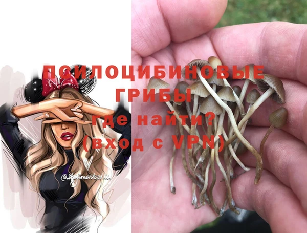 mdma Няндома