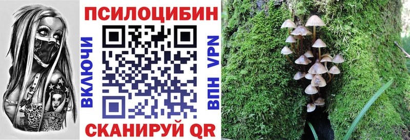 shop клад  Рыльск  Псилоцибиновые грибы Psilocybe 
